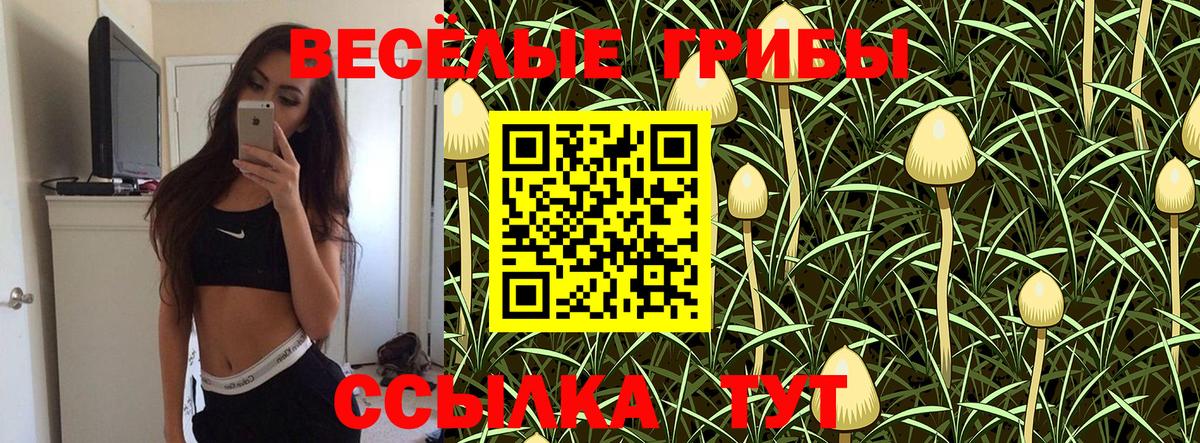 Галлюциногенные грибы Psilocybine cubensis  Галлюциногенные грибы ЛСД  Вход с VPN  Бугуруслан 