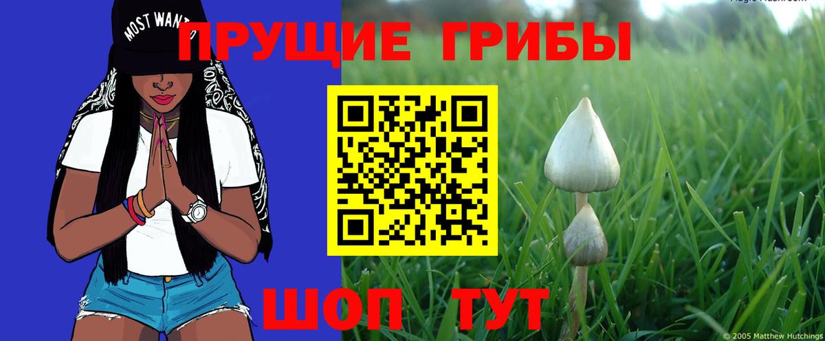 Альфа ПВП Бугуруслан